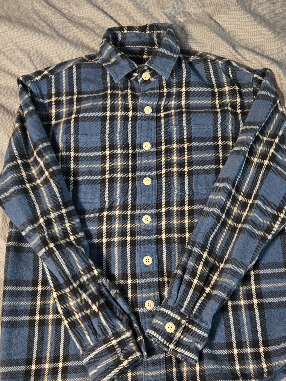 American Eagle Outfitters Blue and Black Plaid Button-Down Shirt